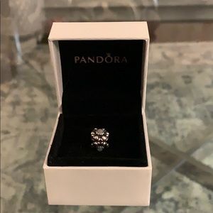 PANDORA charm✨✨